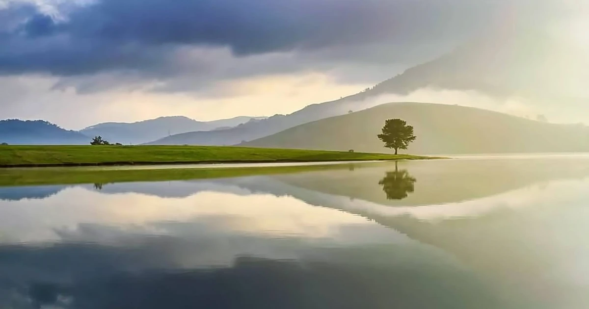 Cây Thông Cô Đơn Đà Lạt